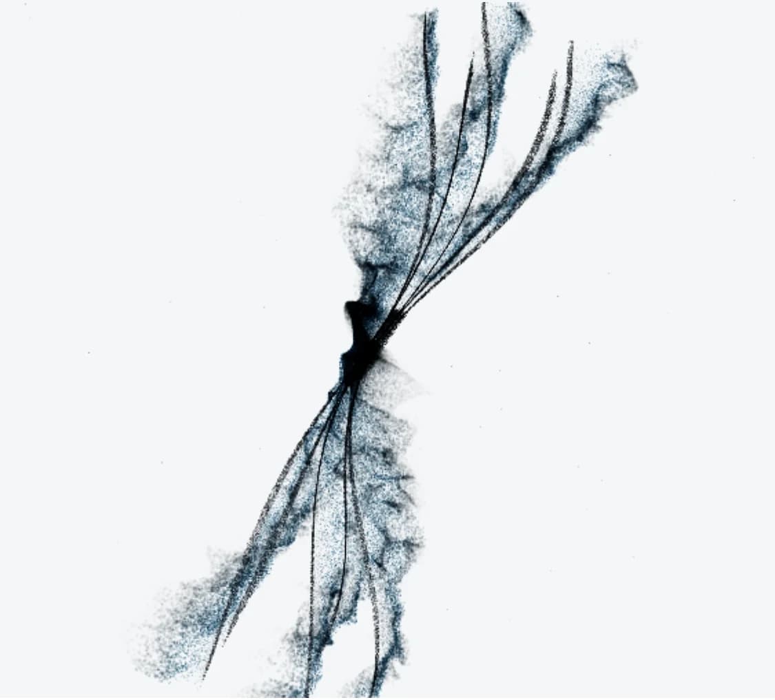 Abstract graphic: many fine lines converge from two directions and gather in the middle